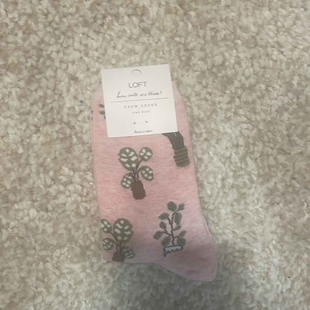 Plant Socks